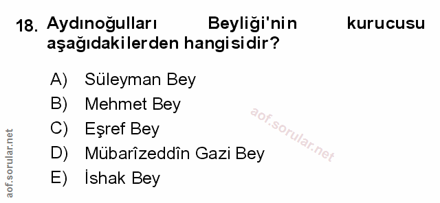Soru 18