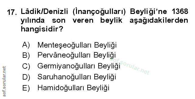 Soru 17