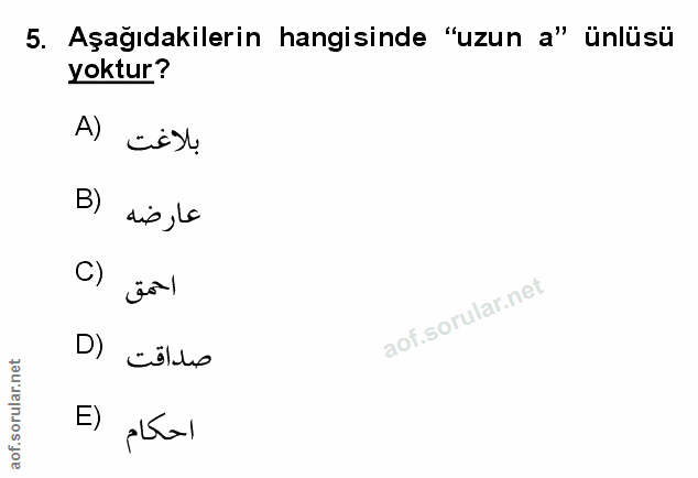 Soru 5