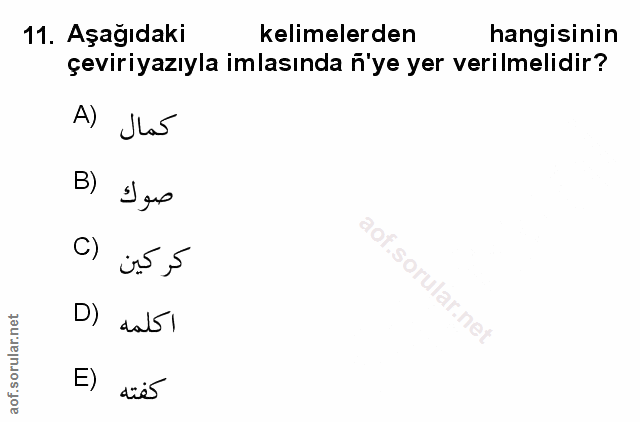 Soru 11