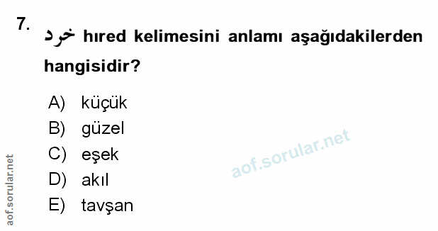 Soru 7