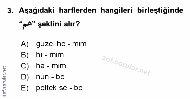 Soru 3