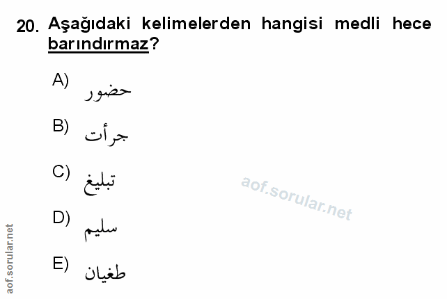 Soru 20
