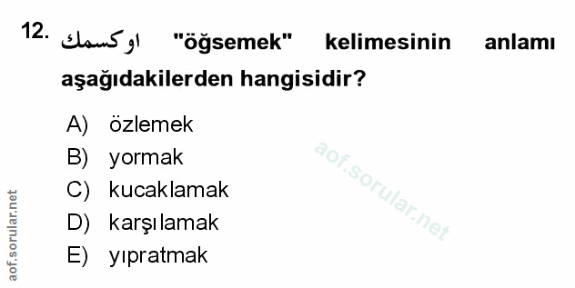 Soru 12