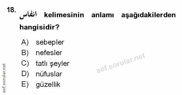 Soru 18