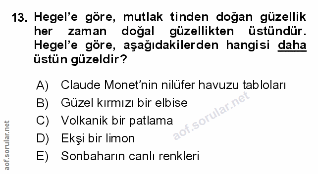 Soru 13