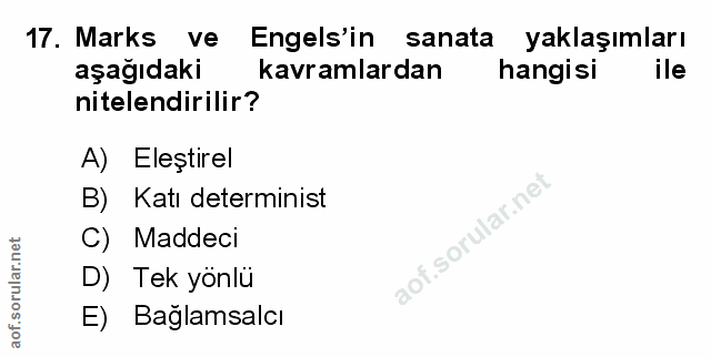 Soru 17