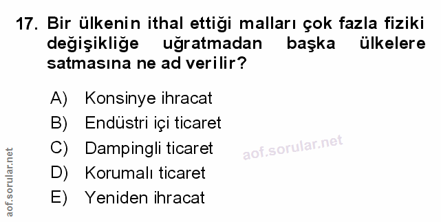 Soru 17