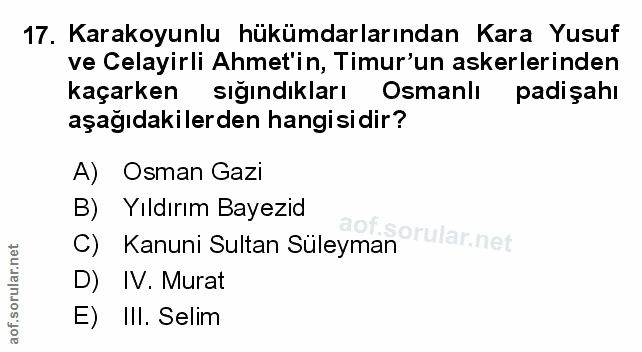 Soru 17