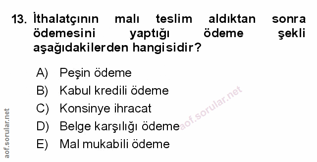 Soru 13