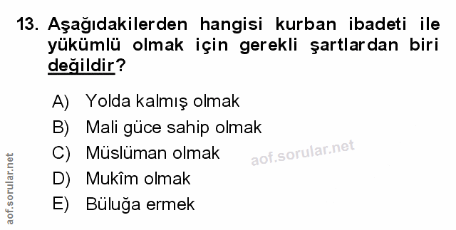 Soru 13