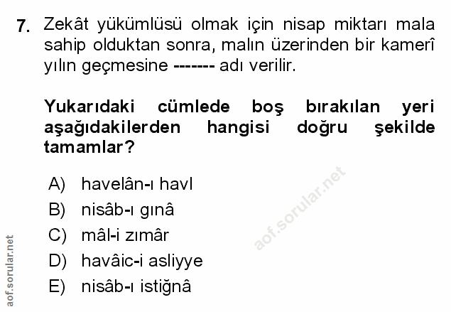 Soru 7