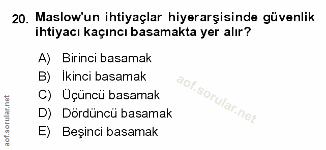 Soru 20