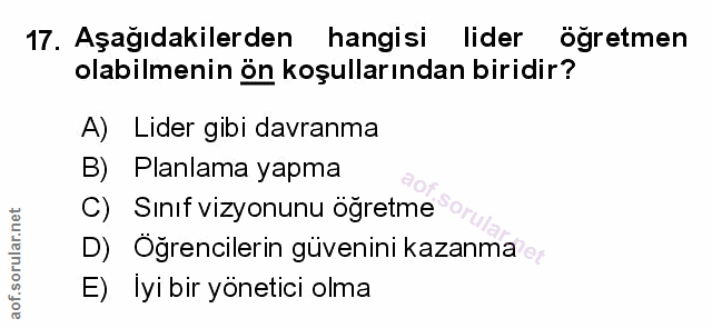 Soru 17
