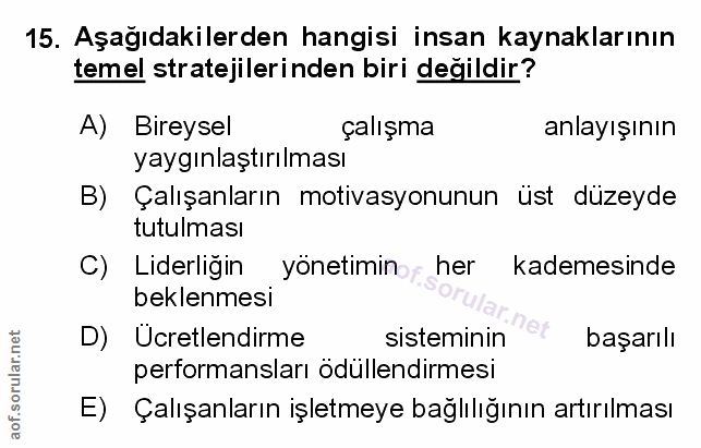 Soru 15