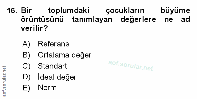 Soru 16