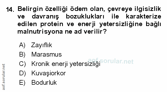 Soru 14