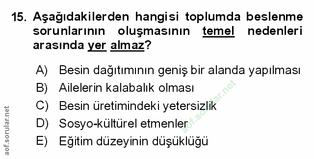 Soru 15