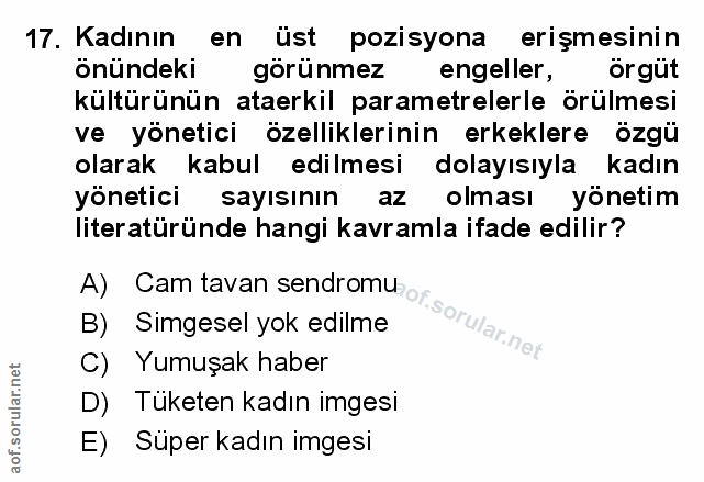 Soru 17