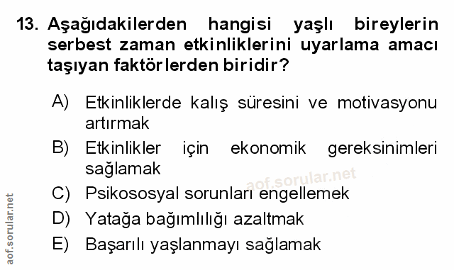 Soru 13