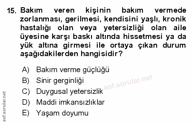 Soru 15
