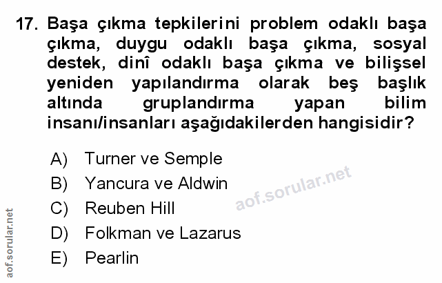 Soru 17