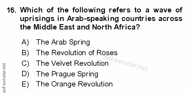 Soru 16