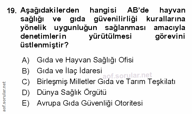 Soru 19