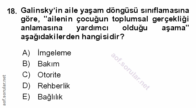 Soru 18