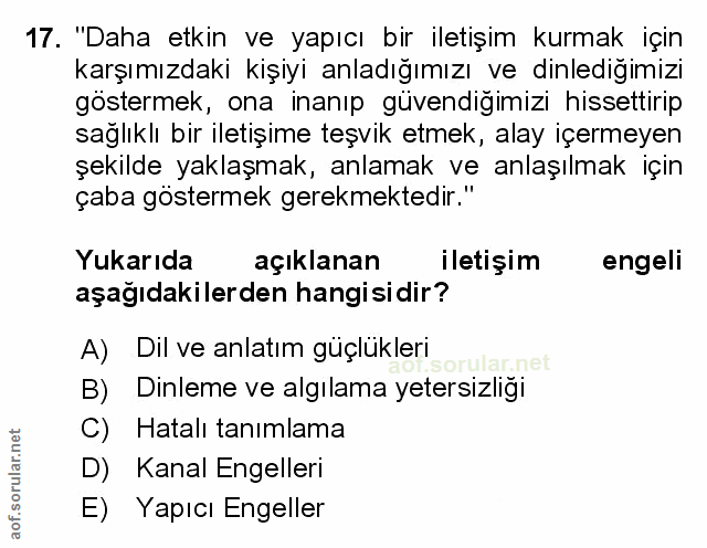 Soru 17