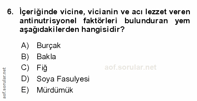 Soru 6