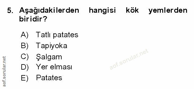 Soru 5