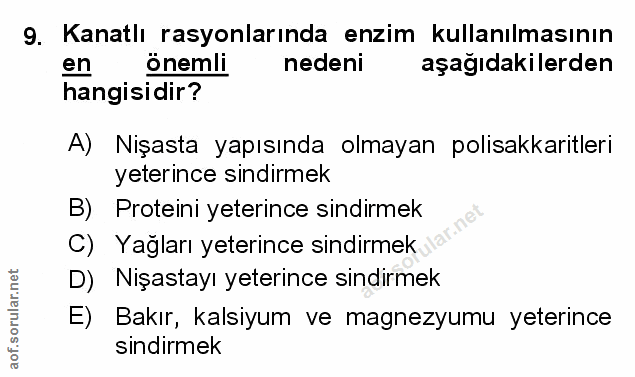 Soru 9