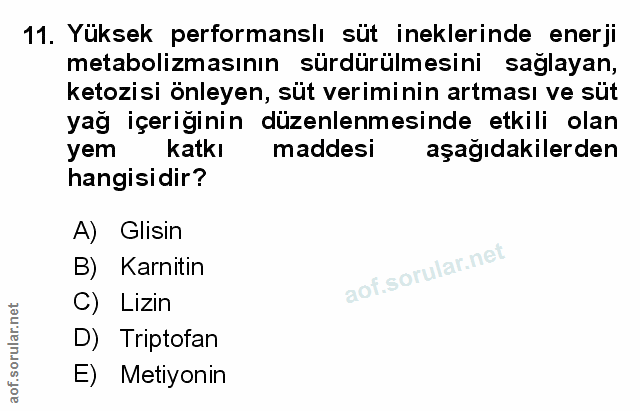 Soru 11
