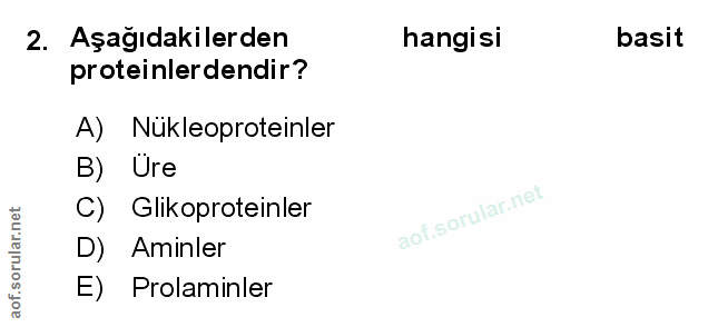 Soru 2