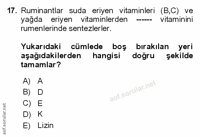 Soru 17