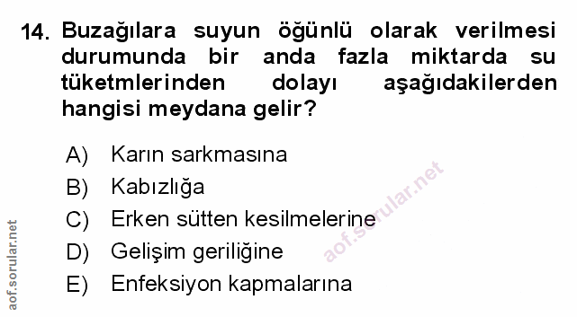 Soru 14