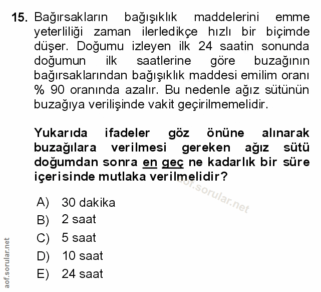 Soru 15