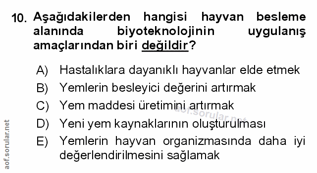 Soru 10