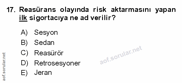 Soru 17