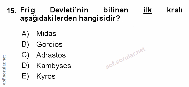 Soru 15