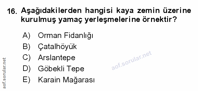 Soru 16