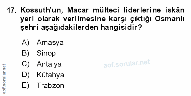 Soru 17