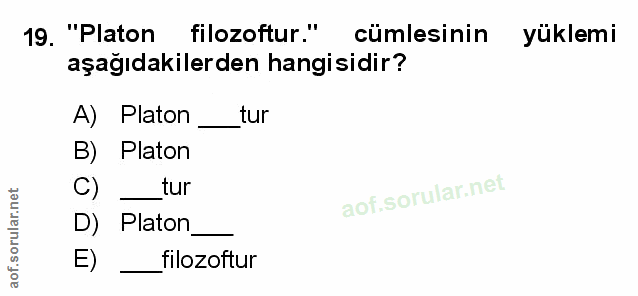 Soru 19