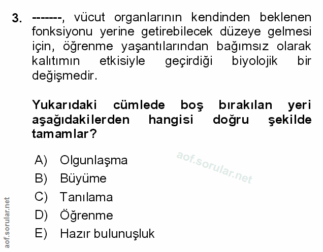 Soru 3