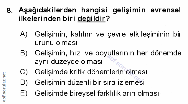 Soru 8