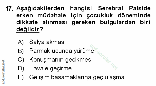 Soru 17