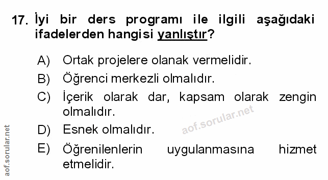 Soru 17