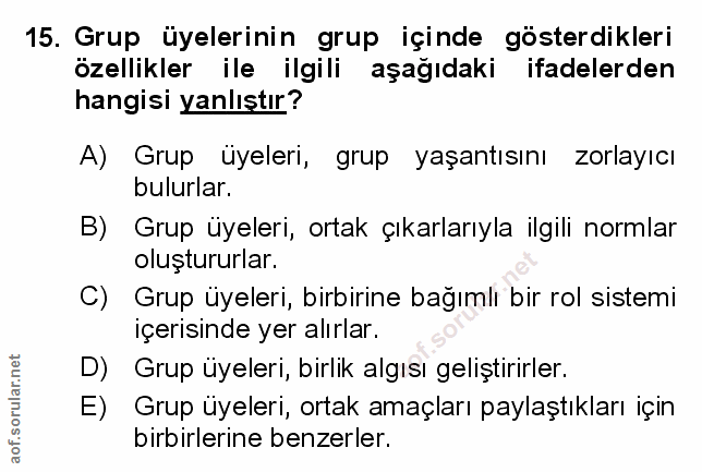 Soru 15
