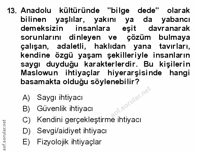 Soru 13